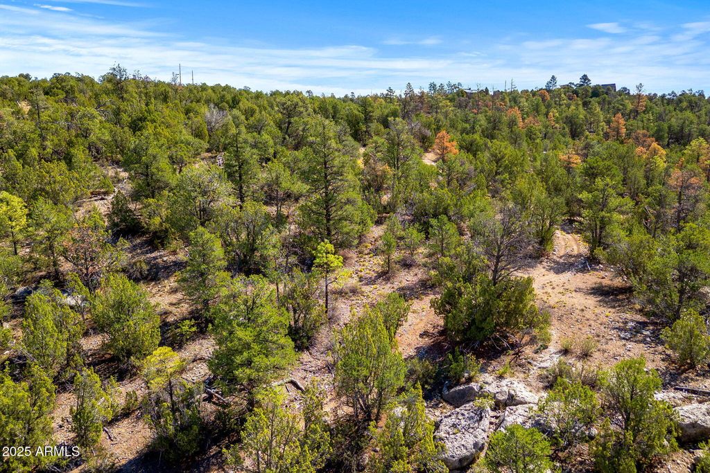 3656 ZANE GREY Trail 60, Overgaard, AZ 85933