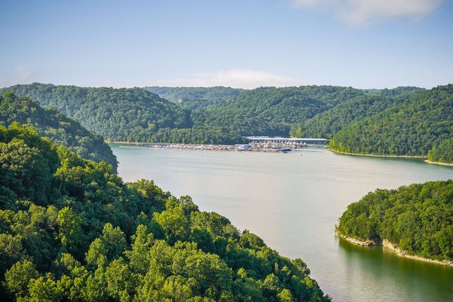 1385 Lakeside Dr, Smithville, TN 37166