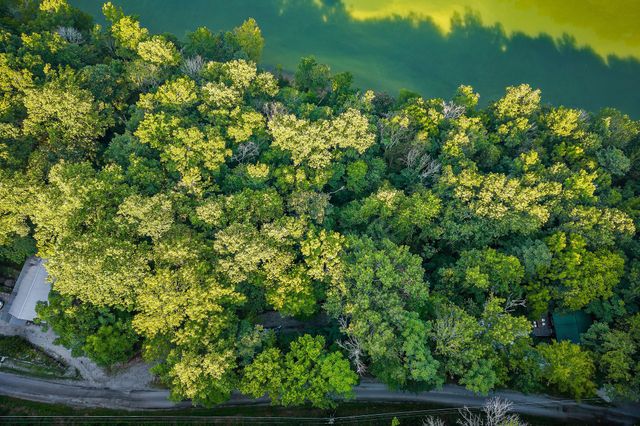 1385 Lakeside Dr, Smithville, TN 37166