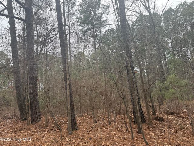 474 Stanton Hill Road, Cameron, NC 28326