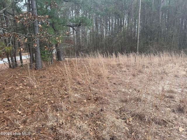 474 Stanton Hill Road, Cameron, NC 28326