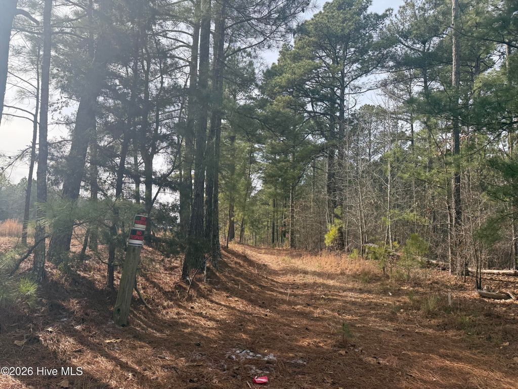 474 Stanton Hill Road, Cameron, NC 28326