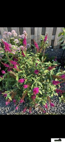 7441 Maxine Drive, Lincoln, NE 68516