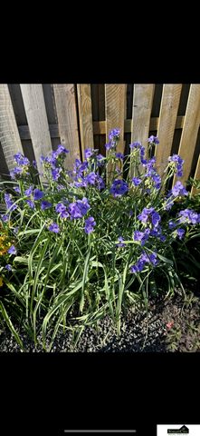 7441 Maxine Drive, Lincoln, NE 68516