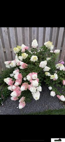 7441 Maxine Drive, Lincoln, NE 68516