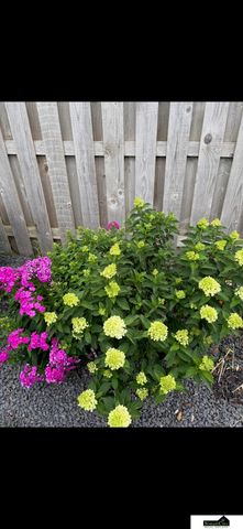 7441 Maxine Drive, Lincoln, NE 68516