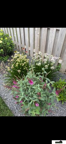 7441 Maxine Drive, Lincoln, NE 68516