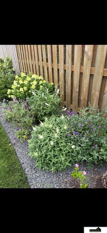 7441 Maxine Drive, Lincoln, NE 68516