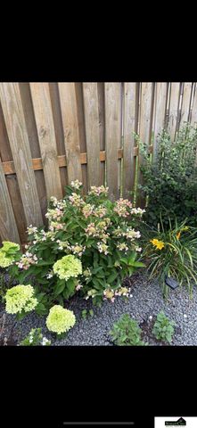 7441 Maxine Drive, Lincoln, NE 68516