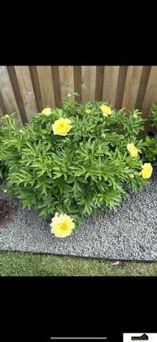 7441 Maxine Drive, Lincoln, NE 68516