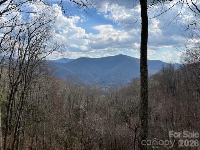 399 Bent Tree Road, Maggie Valley, NC 28751