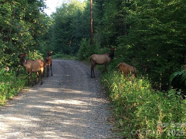 399 Bent Tree Road, Maggie Valley, NC 28751
