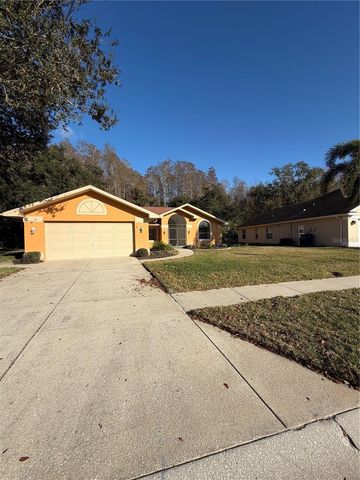 1716 PERCHERON DRIVE, Trinity, FL 34655