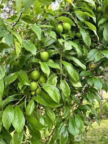 1568 SE Oregon Street, Port Orchard, WA 98367