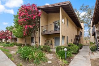 3252 Little Mountain D, San Bernardino, CA 92405