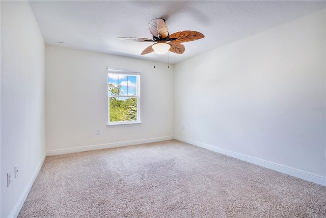 9009 PALM KEY AVENUE, Oldsmar, FL 34677