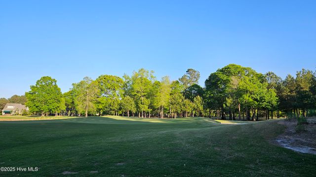 176 Red Fox Run Drive, Wallace, NC 28466