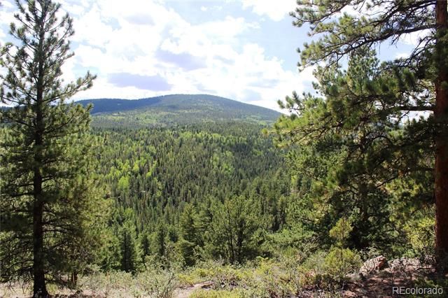 01 Golconda Mine Road, Central City, CO 80427