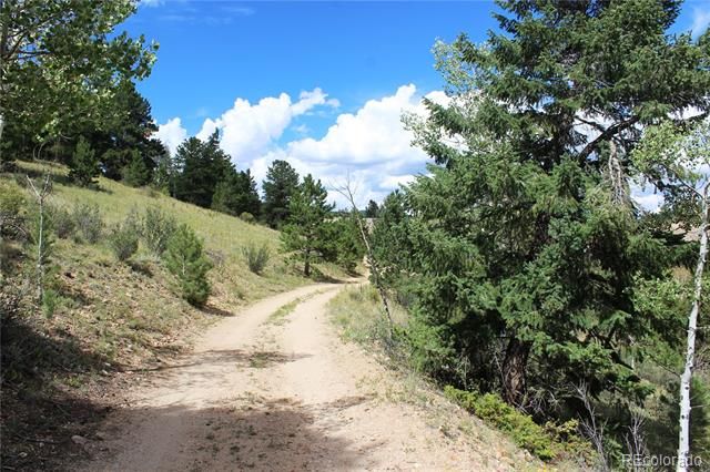 01 Golconda Mine Road, Central City, CO 80427