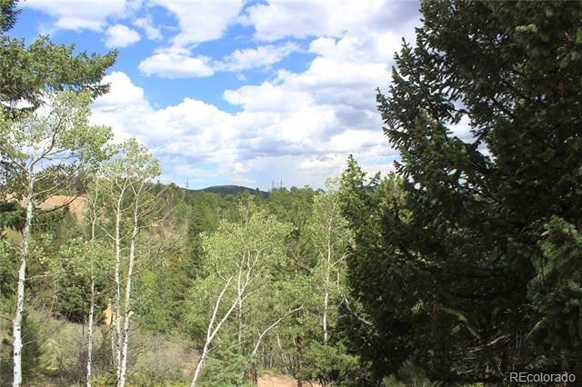 01 Golconda Mine Road, Central City, CO 80427
