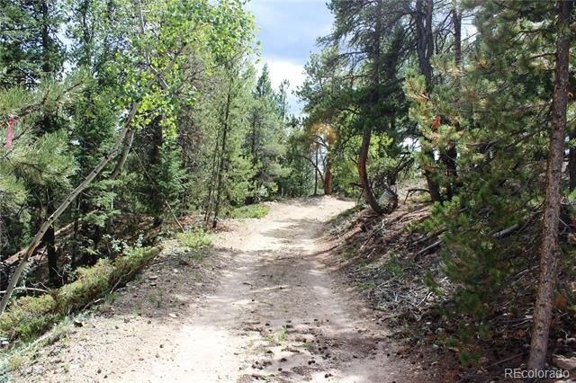 01 Golconda Mine Road, Central City, CO 80427