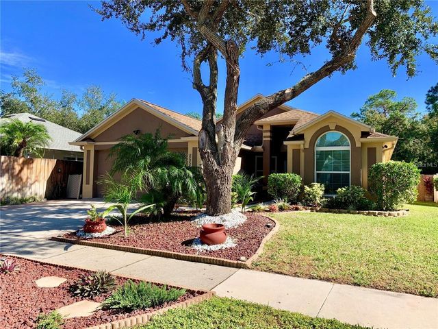 8553 MANASSAS ROAD, Tampa, FL 33635