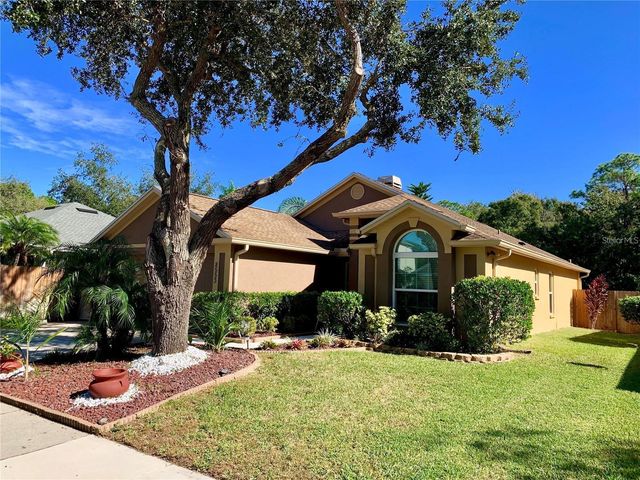 8553 MANASSAS ROAD, Tampa, FL 33635