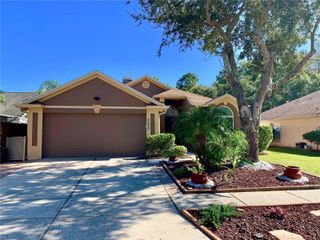 8553 MANASSAS ROAD, Tampa, FL 33635