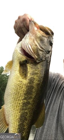 105 Waterford Court, Milledgeville, GA 31061