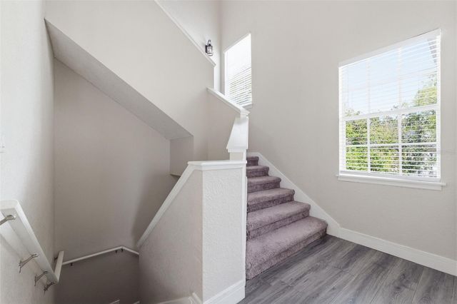 3274 HAVILAND COURT 204, Palm Harbor, FL 34684