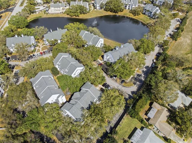 3274 HAVILAND COURT 204, Palm Harbor, FL 34684