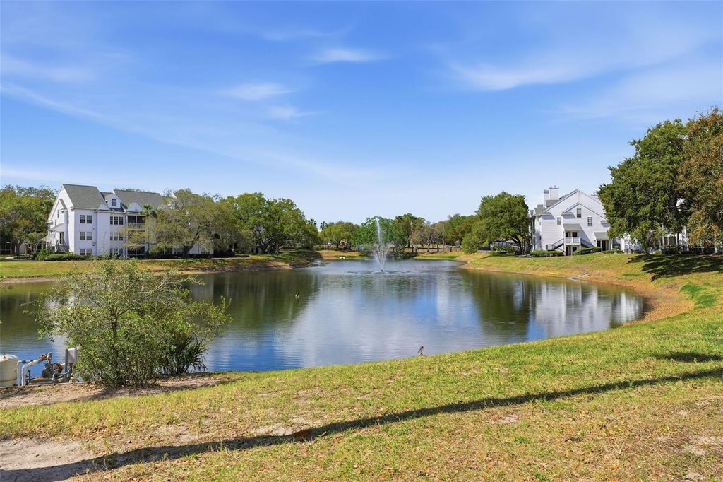 Image 55 of property listing at 3274 HAVILAND COURT 204, Palm Harbor, FL 34684