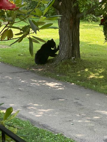 704 Hillside Avenue, Berlin, NH 03570