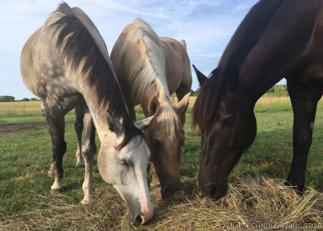 14011 S 177th West Avenue, Kellyville, OK 74039