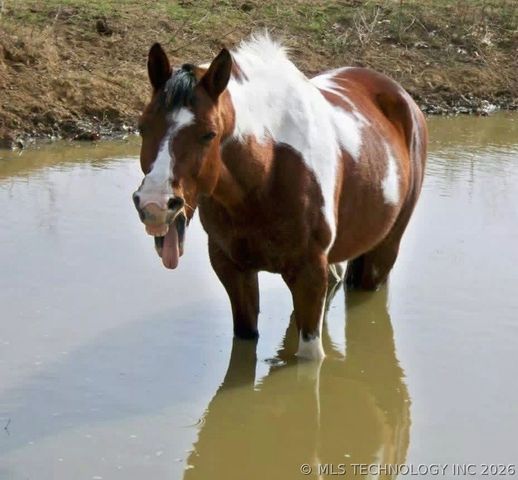 14011 S 177th West Avenue, Kellyville, OK 74039