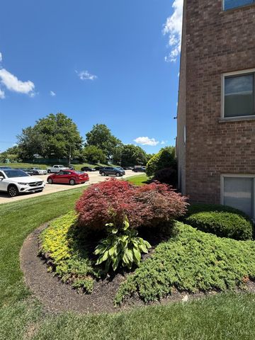 3616 Westwood Northern Boulevard, Cheviot, OH 45211