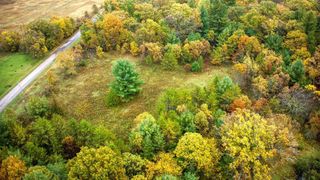 40+/- Acres Edgewood Drive, Adams, WI 53910