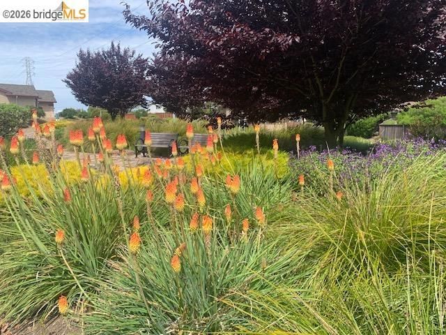 3300 Southridge Dr, Richmond, CA 94806