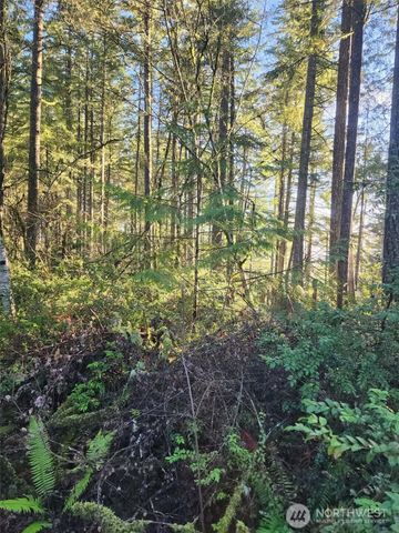 91 E Tepee Lane, Belfair, WA 98528