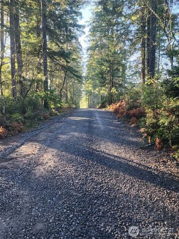 91 E Tepee Lane, Belfair, WA 98528