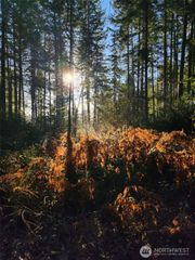 91 E Tepee Lane, Belfair, WA 98528