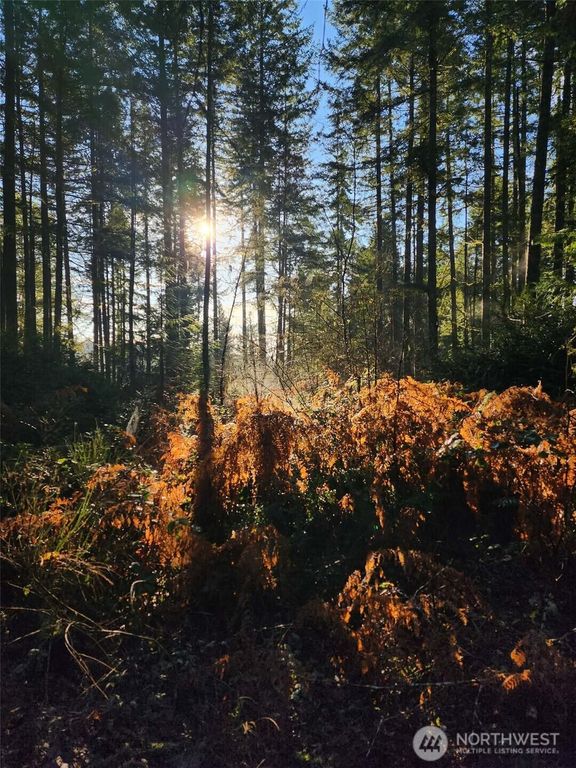 91 E Tepee Lane, Belfair, WA 98528