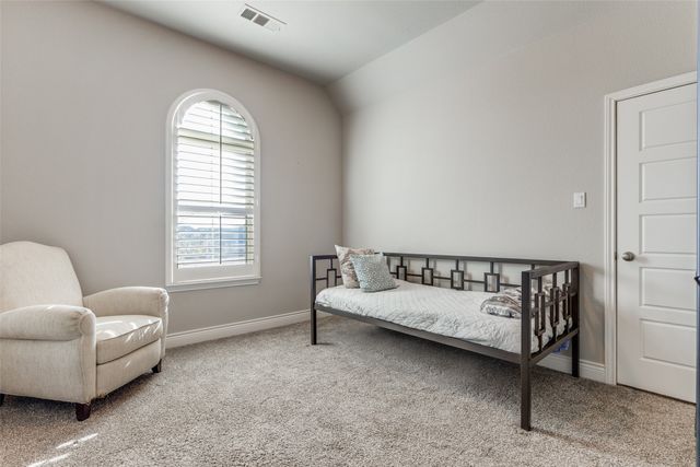 312 Texas Red Lane, Little Elm, TX 75068