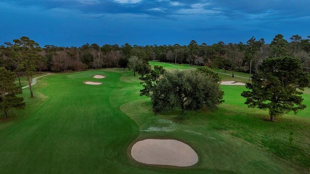 19 Hepplewhite Way, The Woodlands, TX 77382