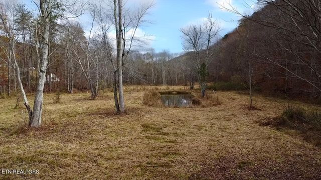 1693 Steve Brown Rd, Bean Station, TN 37708