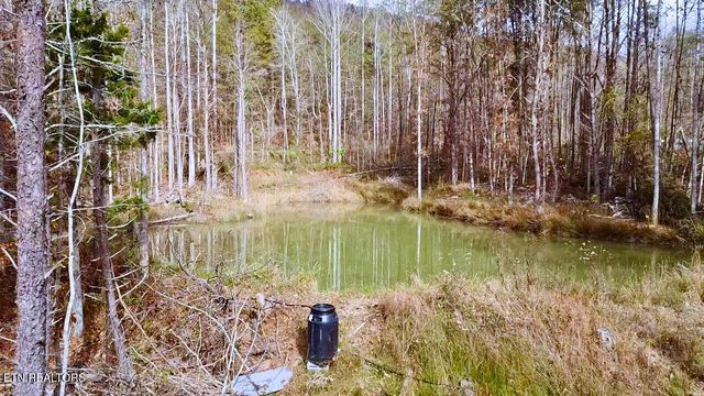 1693 Steve Brown Rd, Bean Station, TN 37708