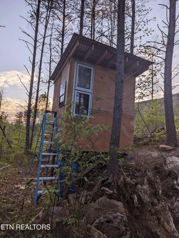 1693 Steve Brown Rd, Bean Station, TN 37708