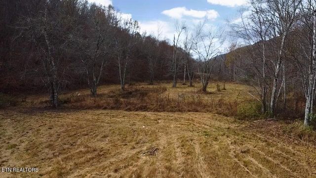 1693 Steve Brown Rd, Bean Station, TN 37708