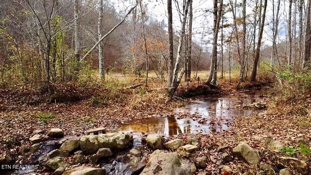 1693 Steve Brown Rd, Bean Station, TN 37708