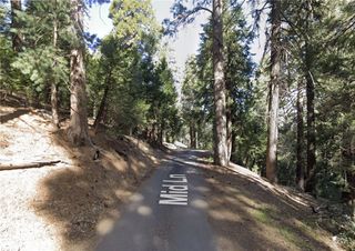 25547 Mid Ln, Twin Peaks, CA 92391